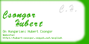 csongor hubert business card